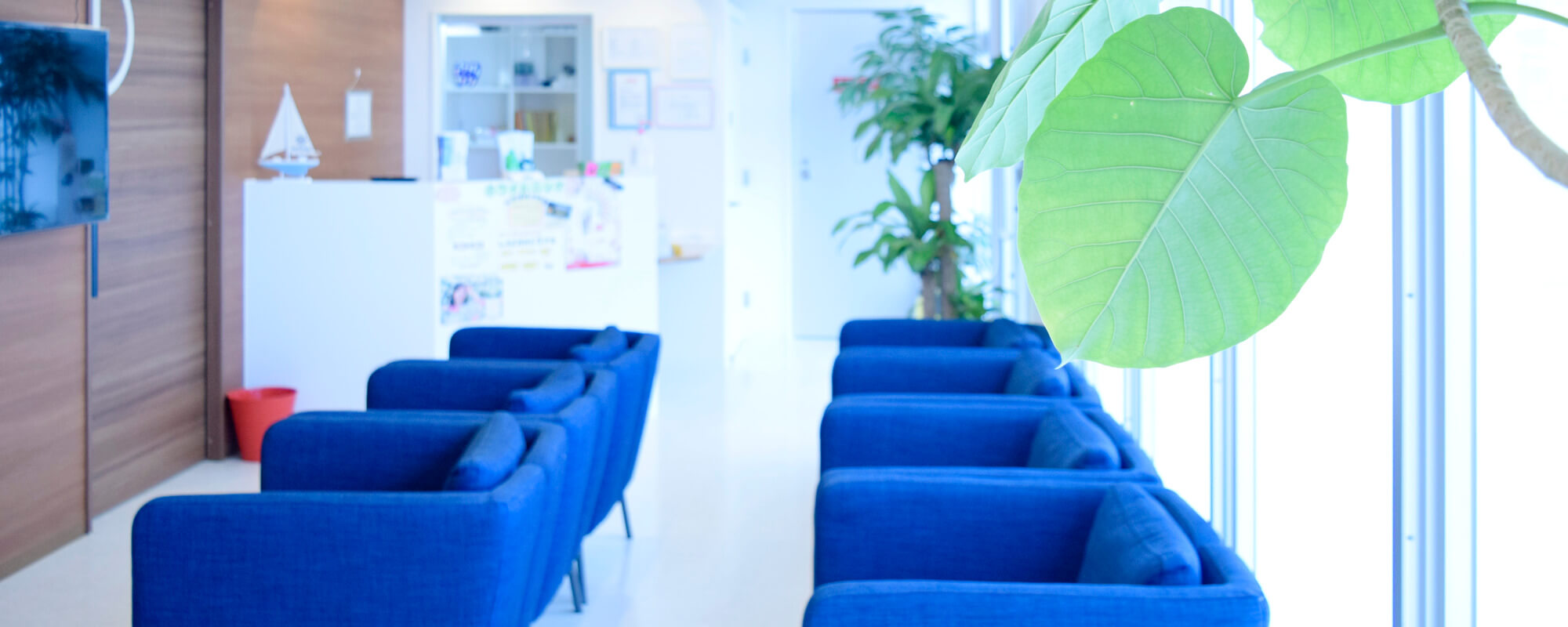 トップスライダー画像｜かなさんデンタルケア小禄